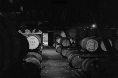 Bladnoch-Distillery-8