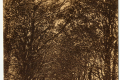Lovers-Walk-Wigtown